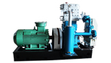 ZW-3.0/10-16液化石油气压缩机